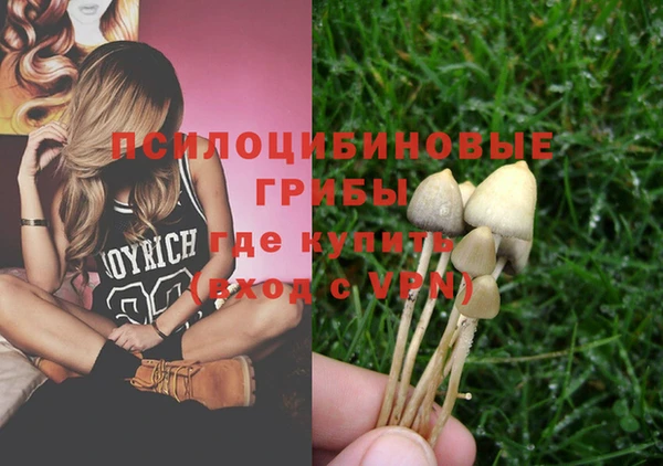 сатива Надым