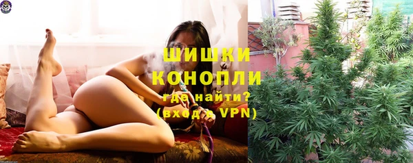 сатива Надым