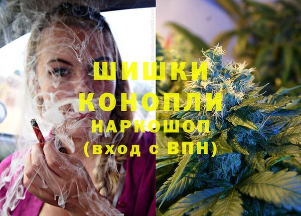сатива Надым