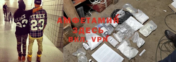 сатива Надым