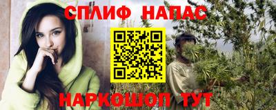 индика Гагарин
