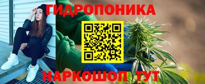 индика Гагарин