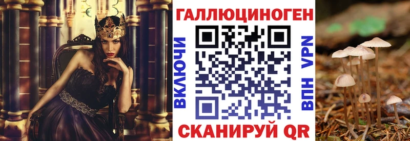 Псилоцибиновые грибы GOLDEN TEACHER  маркетплейс наркотические препараты  Кирово-Чепецк  kraken маркетплейс 
