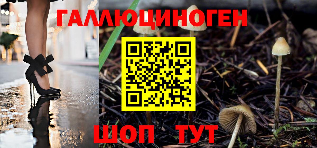 Галлюциногенные грибы GOLDEN TEACHER Кирово-Чепецк